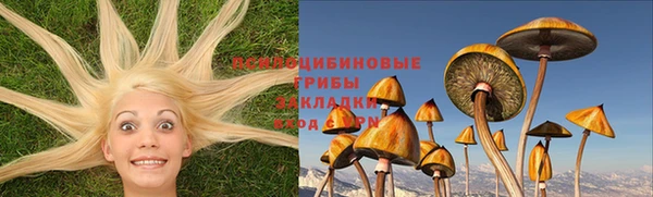 гидропоника Нягань