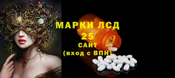 прущие грибы Няндома