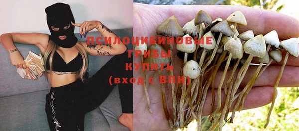 прущая мука Горняк