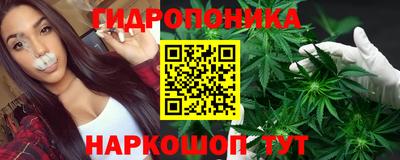 прущие грибы Кандалакша