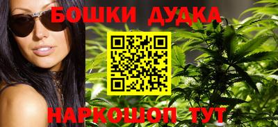 прущие грибы Кандалакша