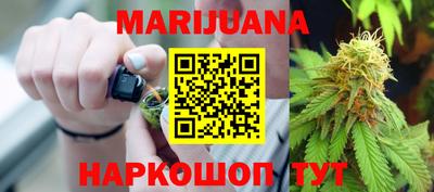 прущие грибы Кандалакша
