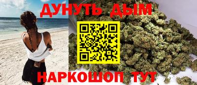 прущие грибы Кандалакша