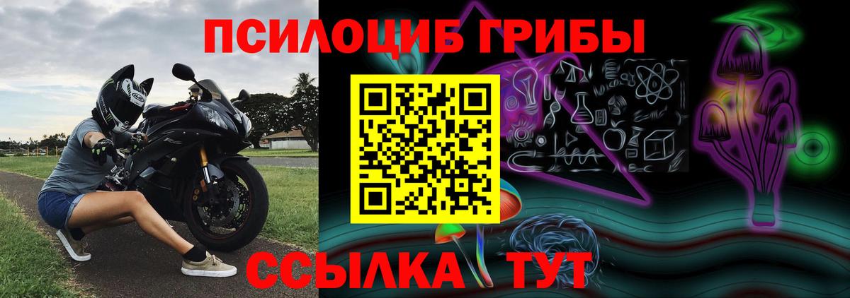 Псилоцибиновые грибы Psilocybe  Вход с VPN  Сызрань 