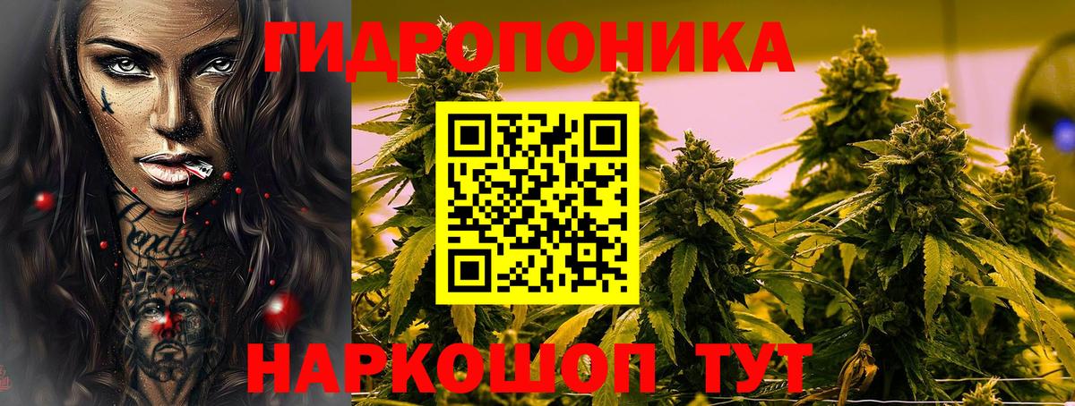 Сызрань  Каннабис план  Вход с VPN  Конопля Ganja 